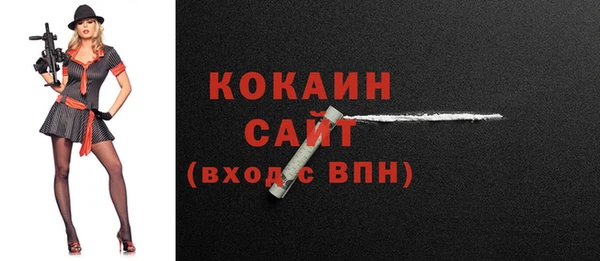 гидропоника Гусиноозёрск