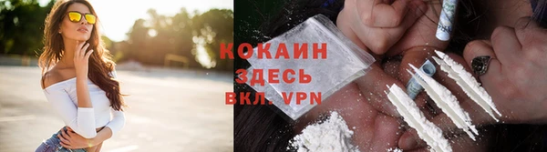 гидропоника Гусиноозёрск