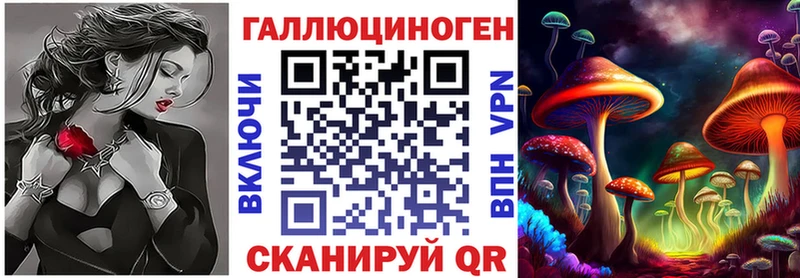 Купить где  Ковылкино  Галлюциногенные грибы GOLDEN TEACHER 